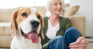 Woman sitting on floor with dog